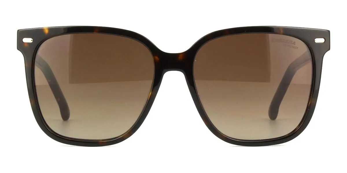 Carrera 3002/S 086HA