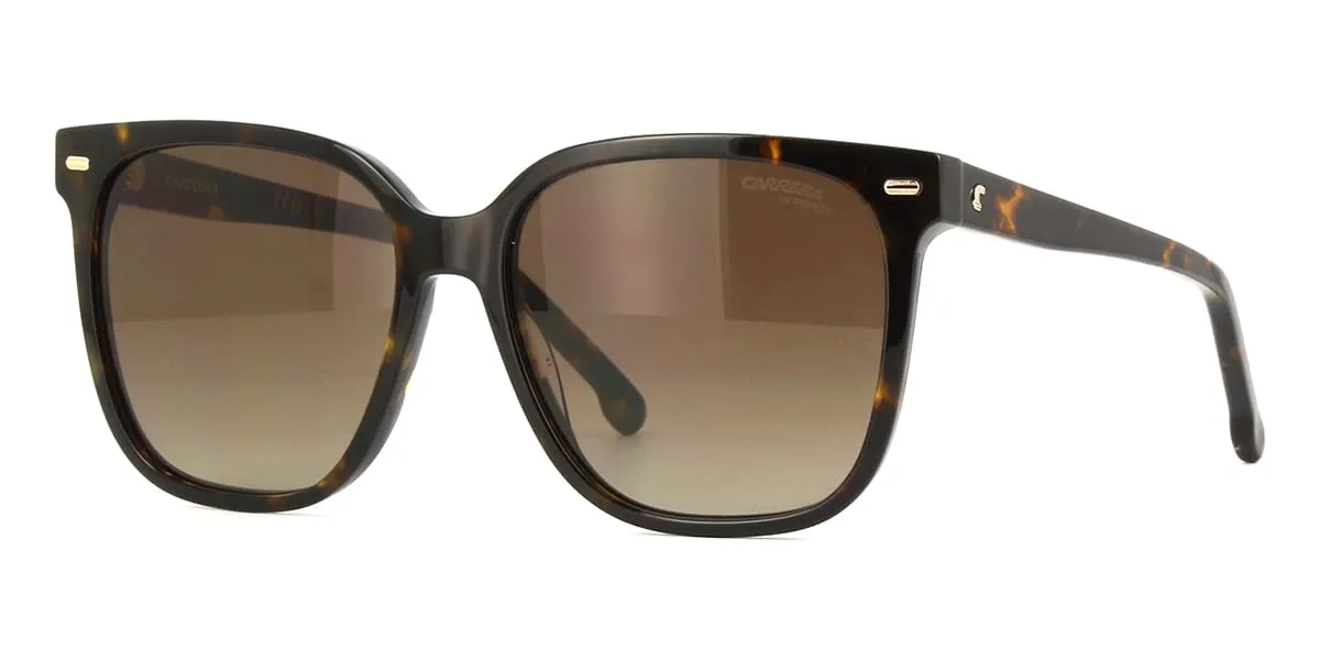 Carrera 3002/S 086HA
