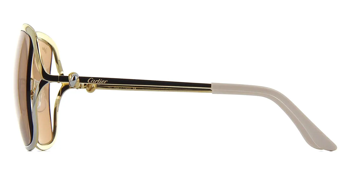 Cartier CT0225S 002