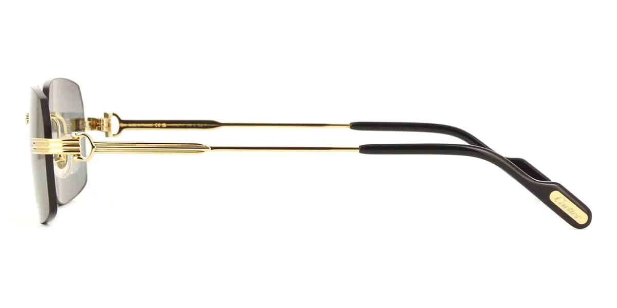 Cartier CT0271S 006