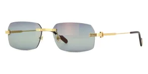 Cartier CT0271S 006