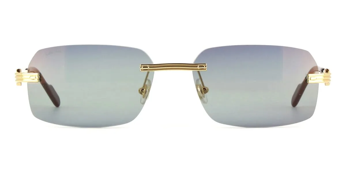 Cartier CT0271S 006