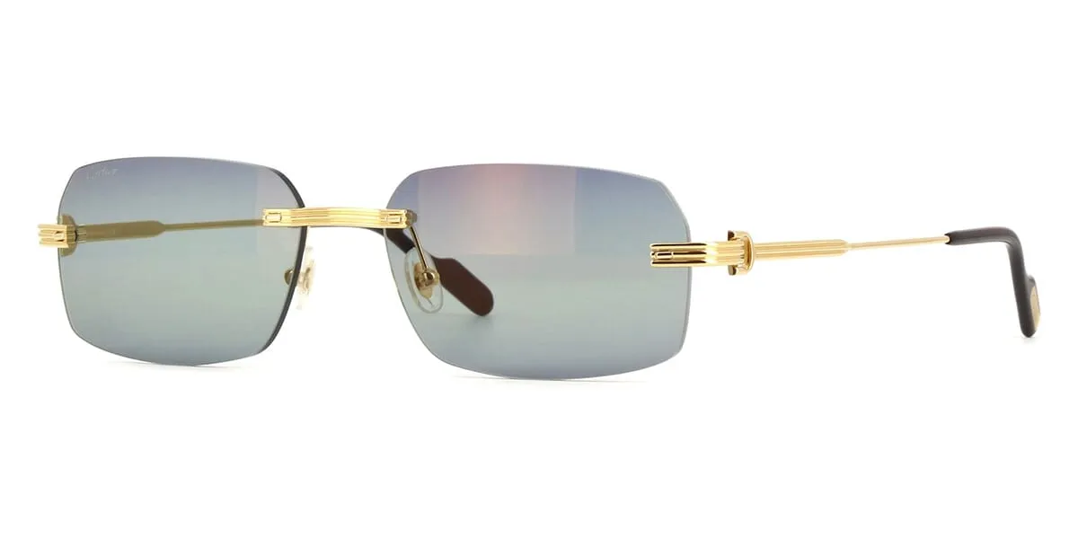 Cartier CT0271S 006