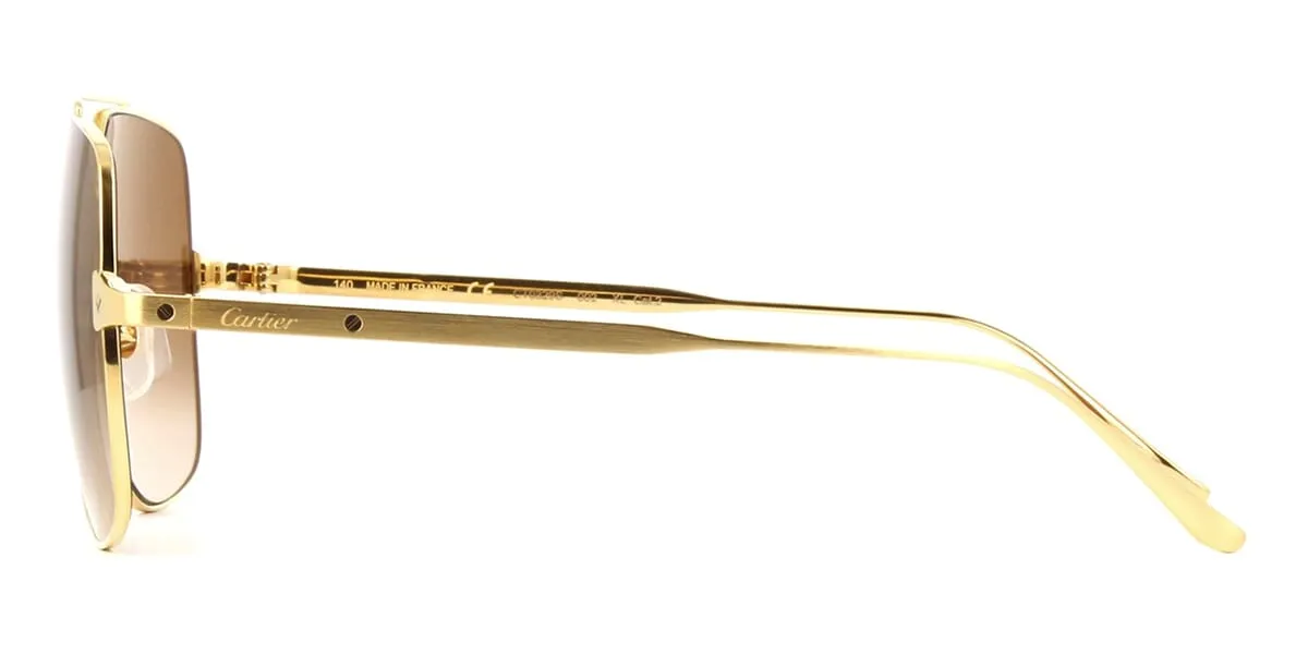 Cartier CT0329S 002