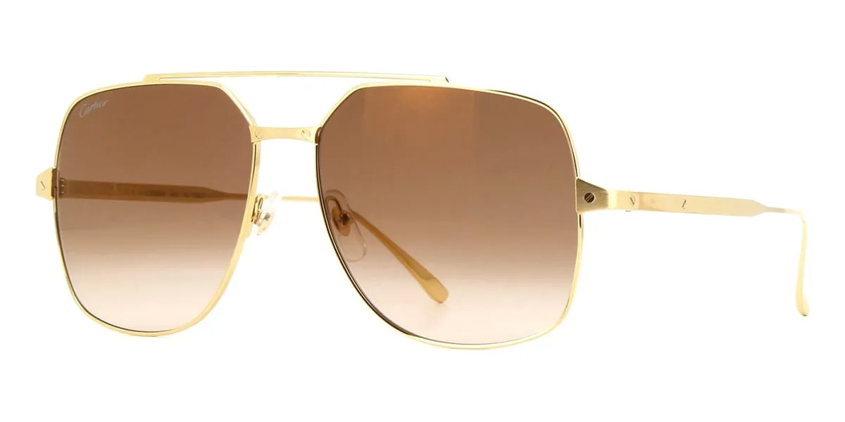 Cartier CT0329S 002
