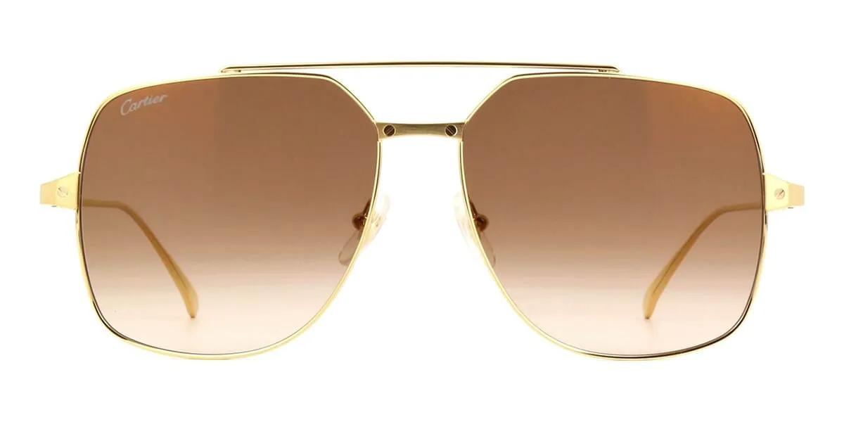 Cartier CT0329S 002