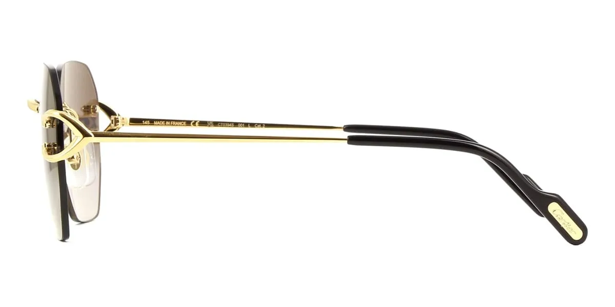 Cartier CT0394S 001