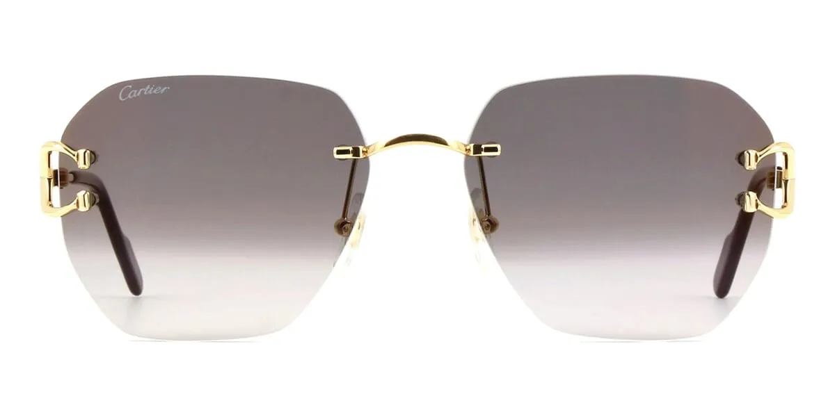 Cartier CT0394S 001