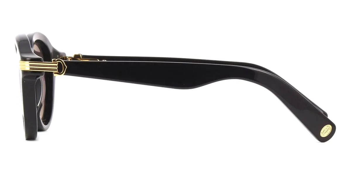 Cartier CT0395S 001