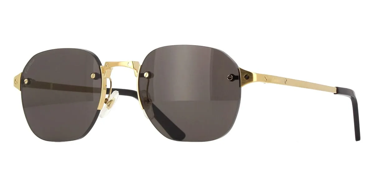 Cartier CT0459S 001 / 005