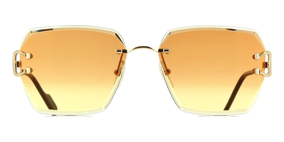 Cartier CT0466S 004