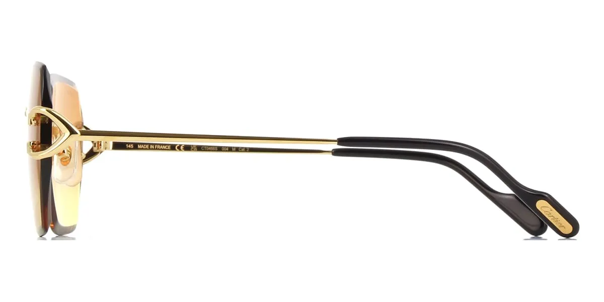 Cartier CT0466S 004