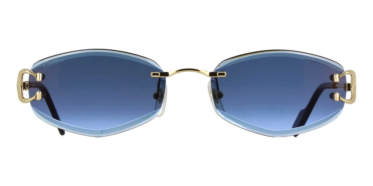 Cartier CT0467S 002