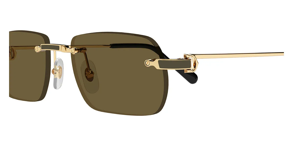 Cartier CT0498S 005