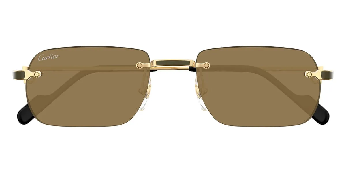 Cartier CT0498S 005