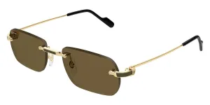 Cartier CT0498S 005
