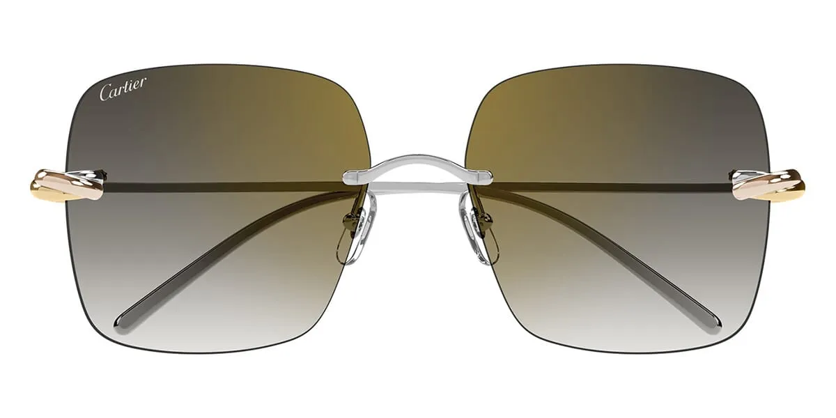 Cartier CT0508S 002