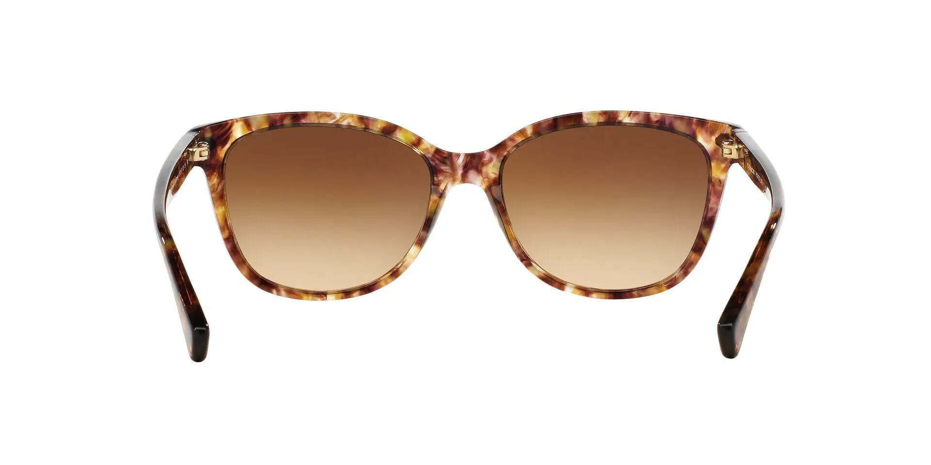 Coach L109 8132 Sunglasses