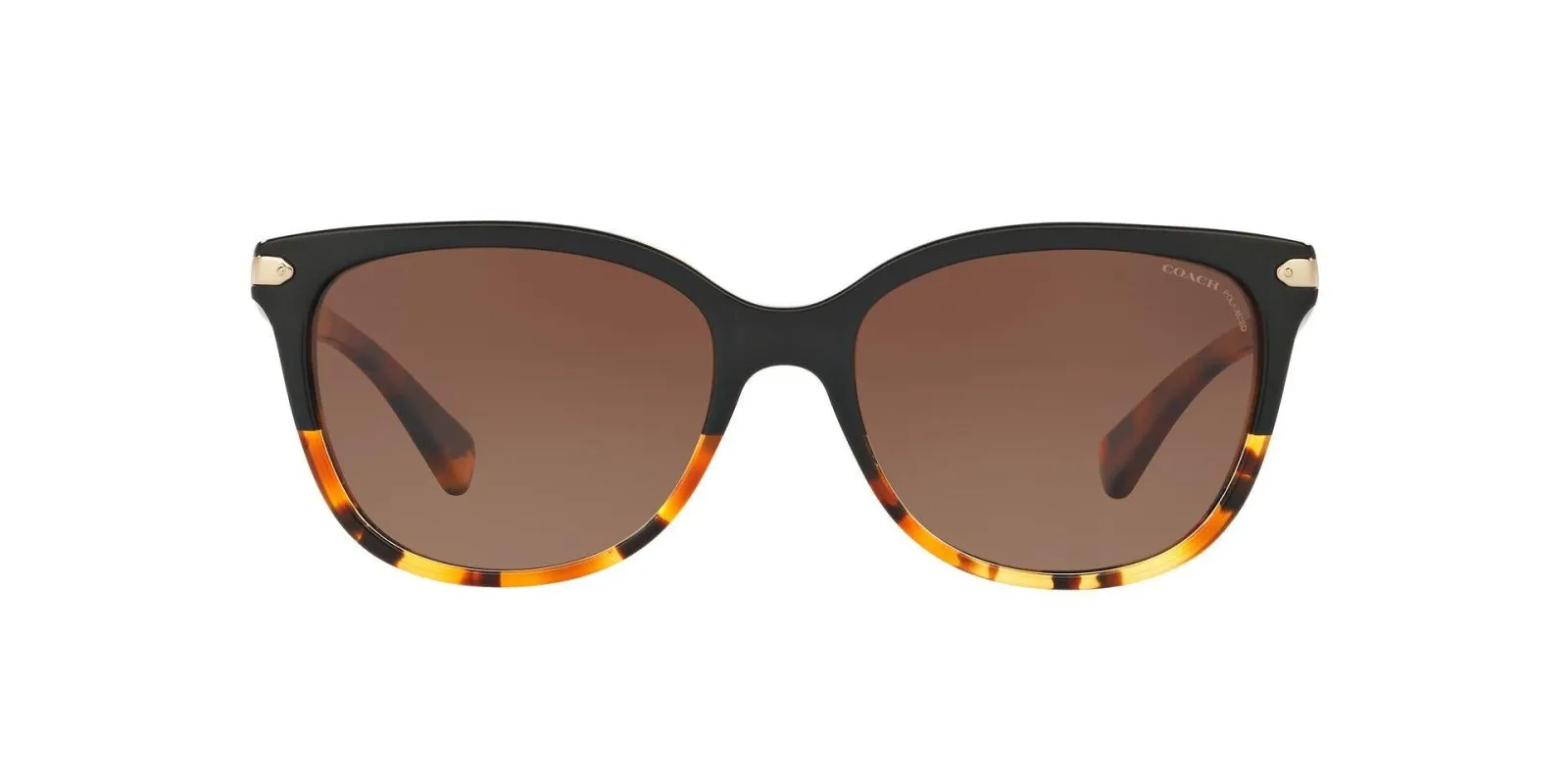 Coach L109 8132 Sunglasses