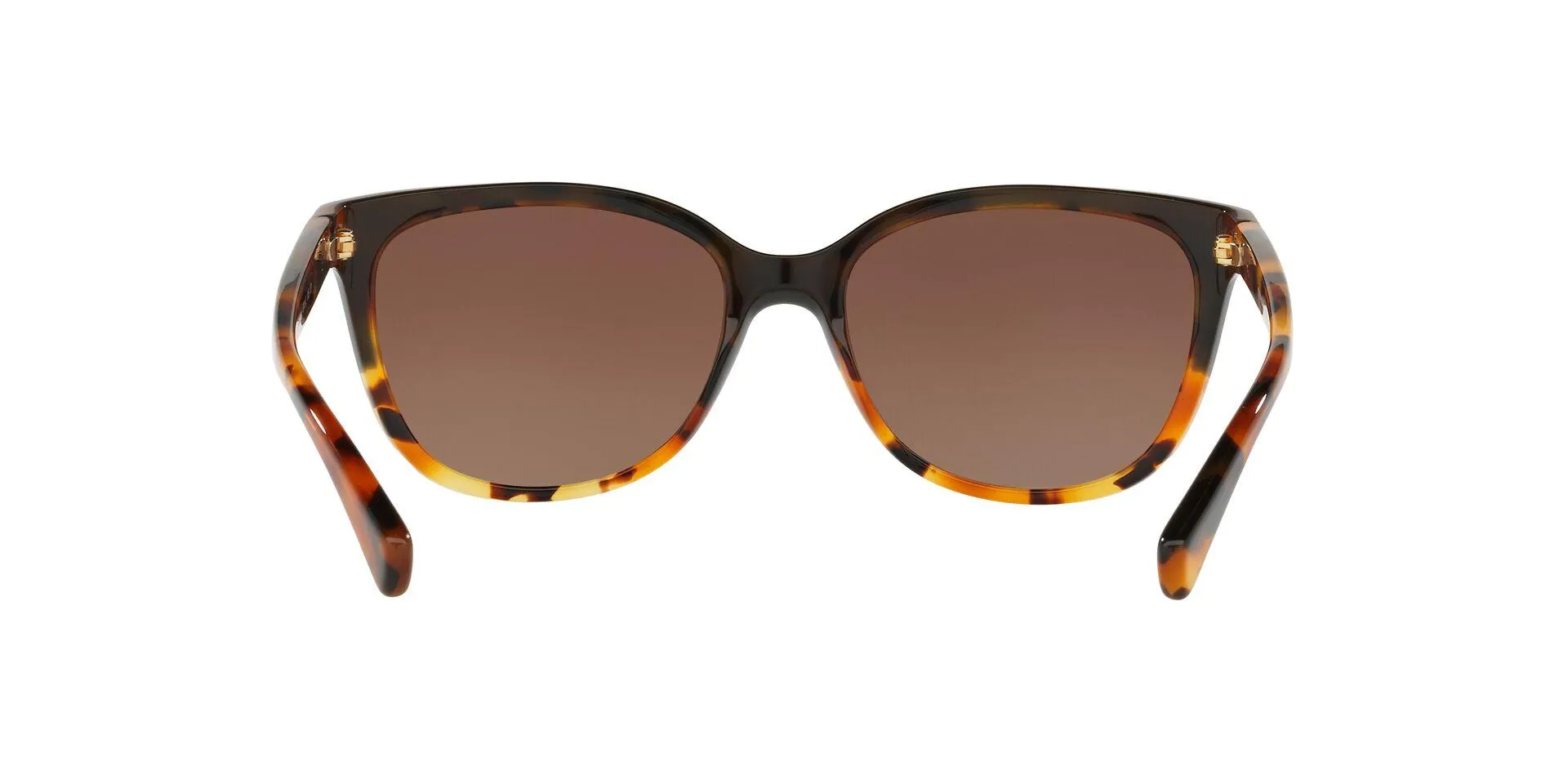 Coach L109 8132 Sunglasses