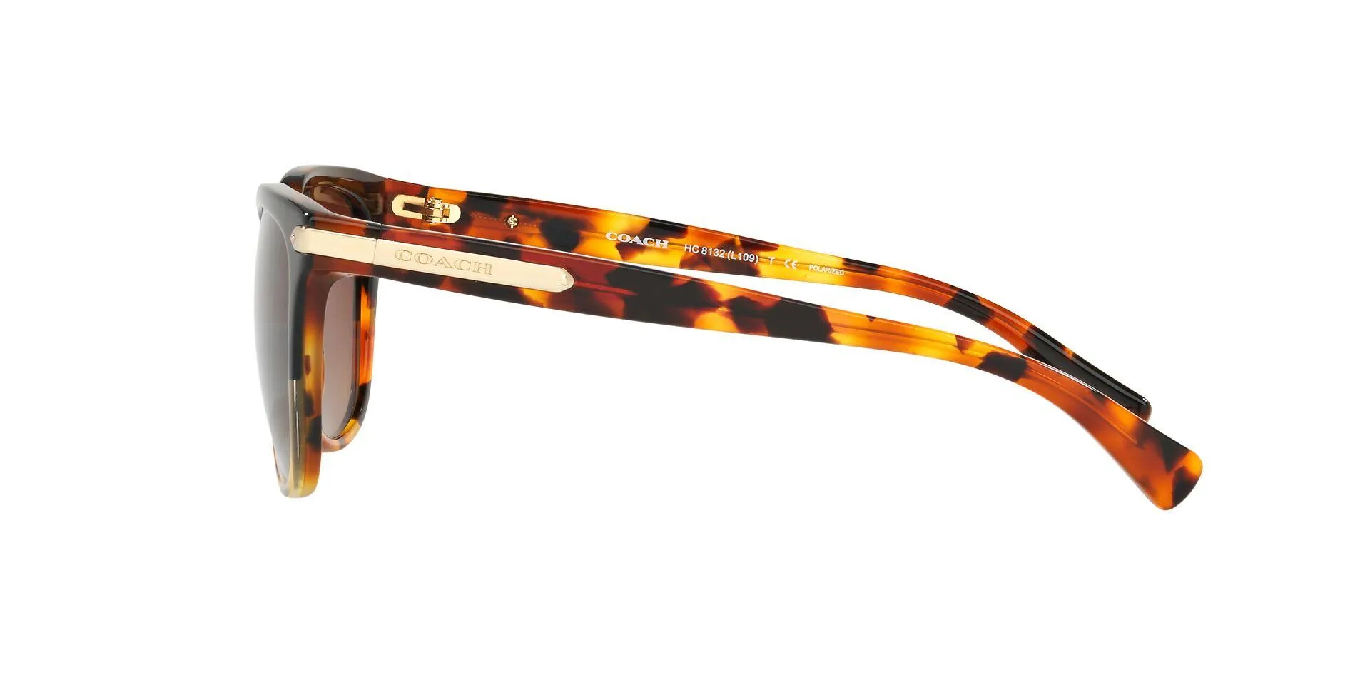 Coach L109 8132 Sunglasses