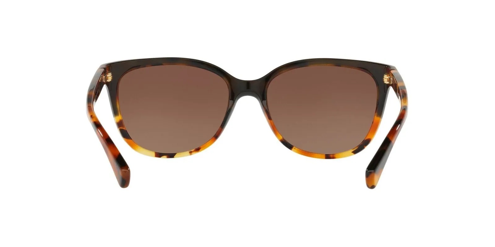 Coach L109 8132 Sunglasses