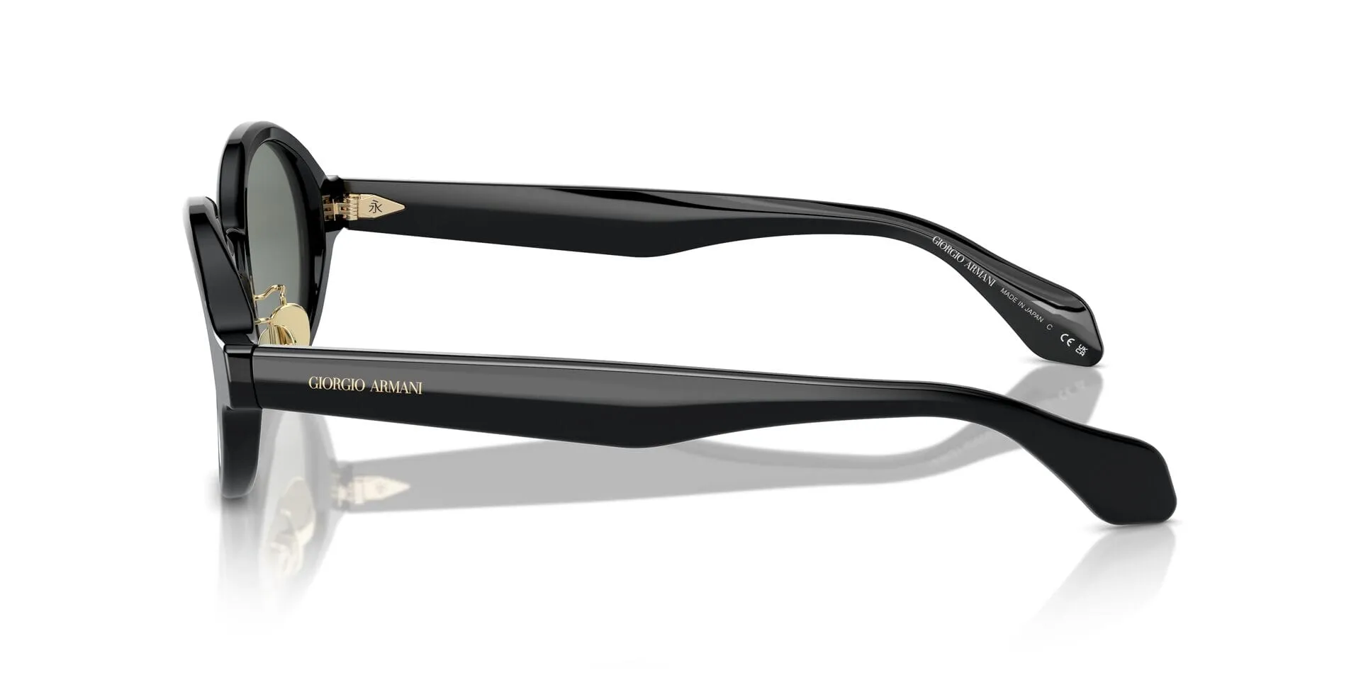 Giorgio Armani AR8205 6060/1