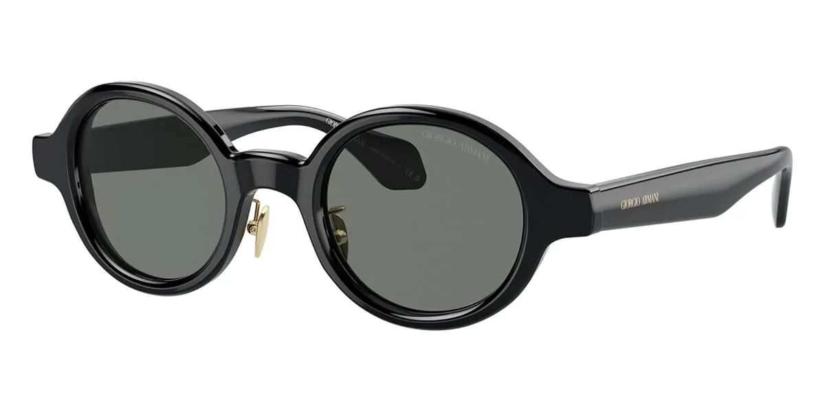 Giorgio Armani AR8205 6060/1