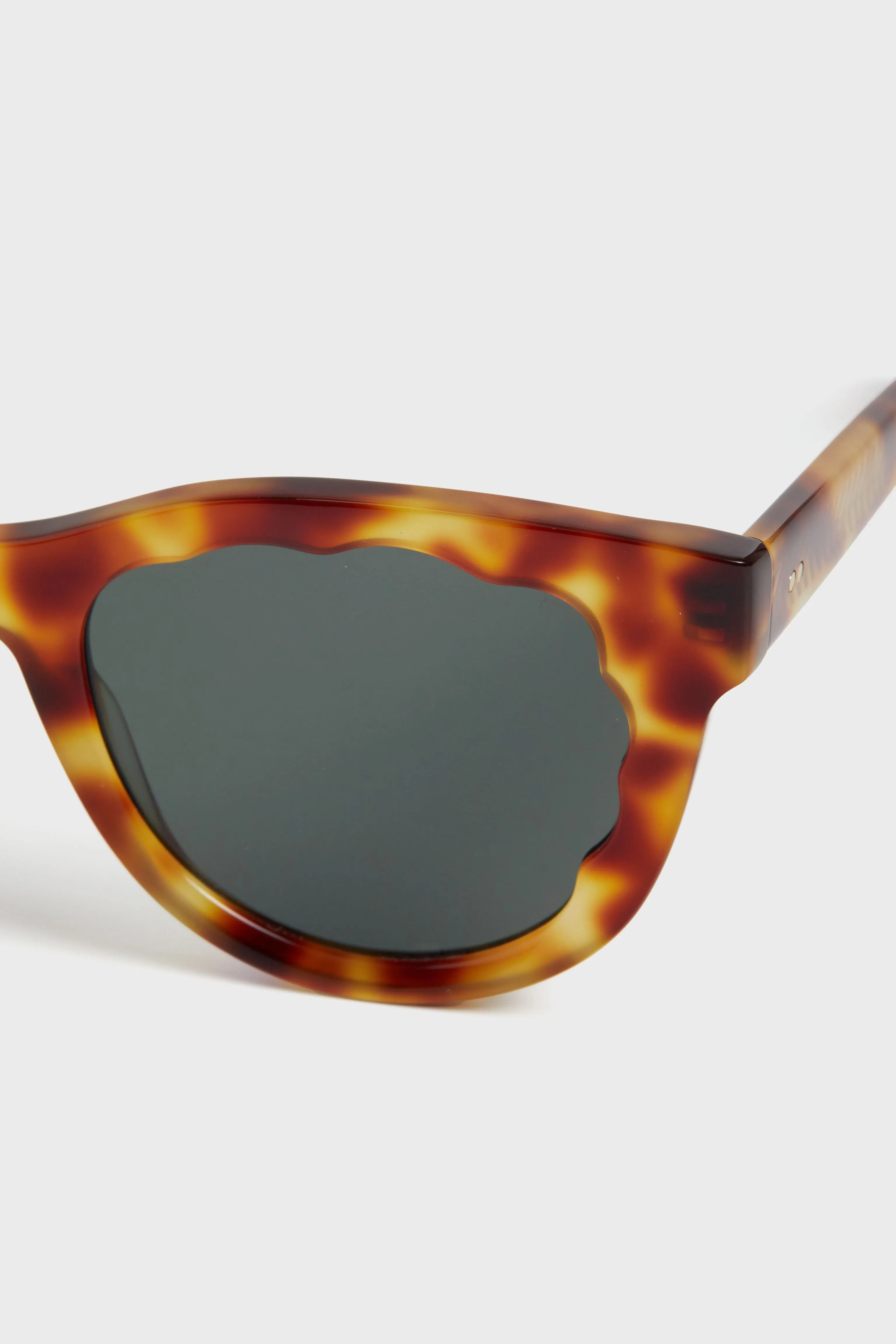 Hawksbill Ellie Sunglasses