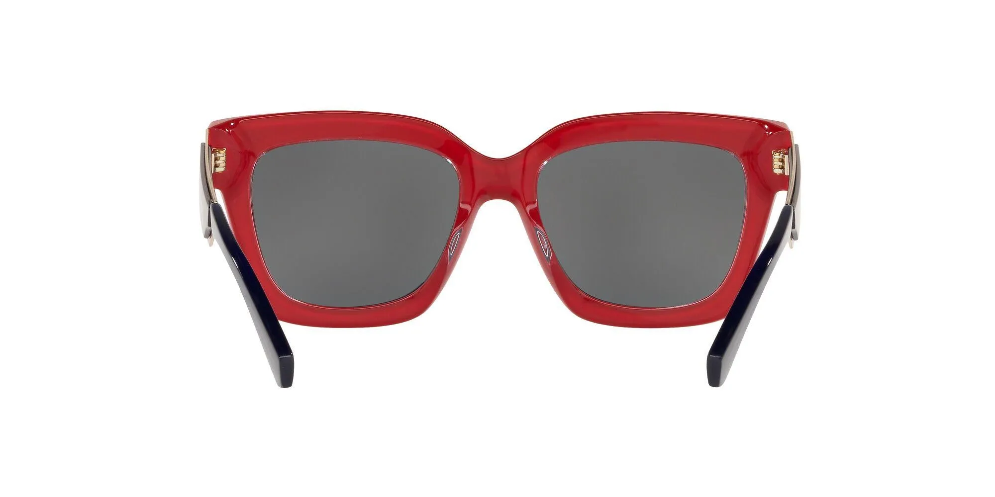 Michael Kors Berkshires 2102 Sunglasses