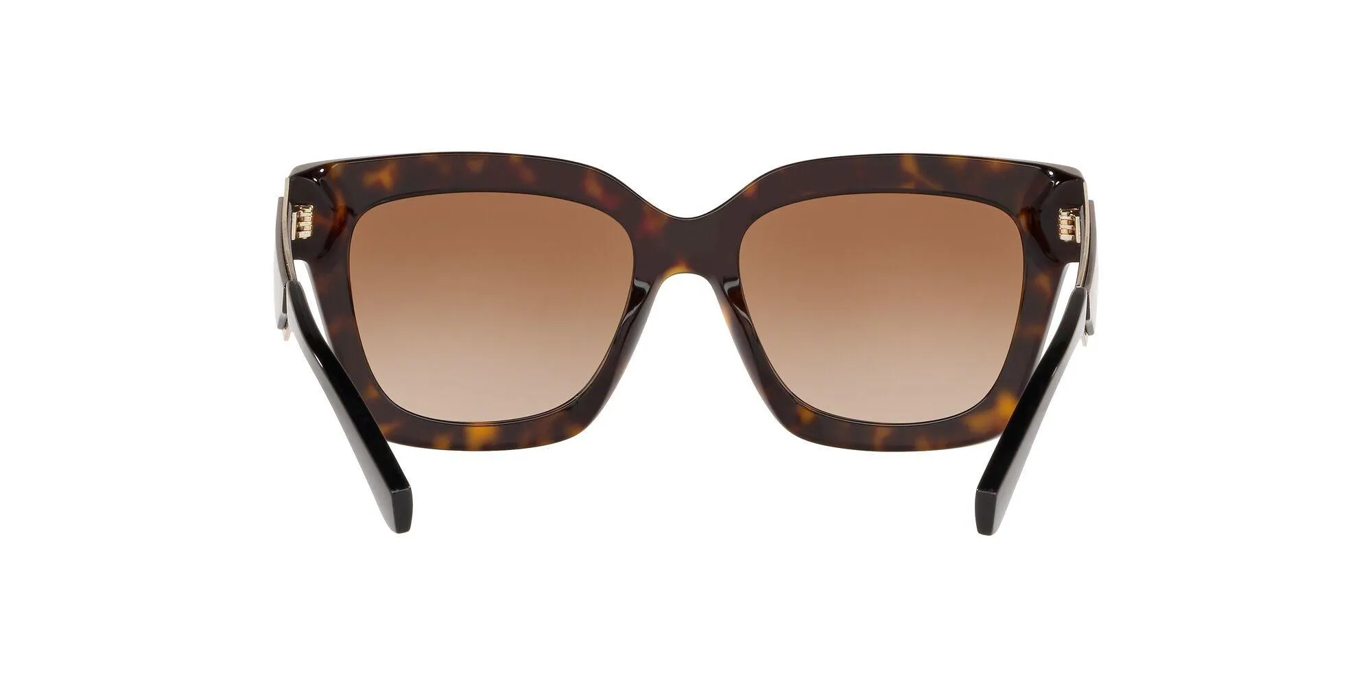 Michael Kors Berkshires 2102 Sunglasses