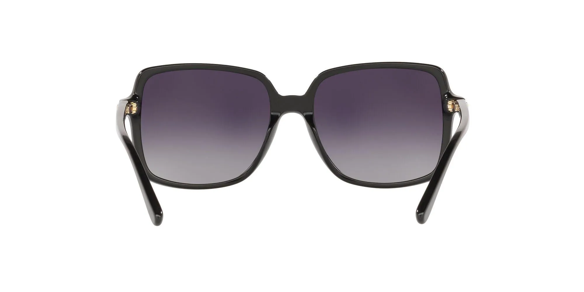 Michael Kors Isle Of Palms 2098U Sunglasses
