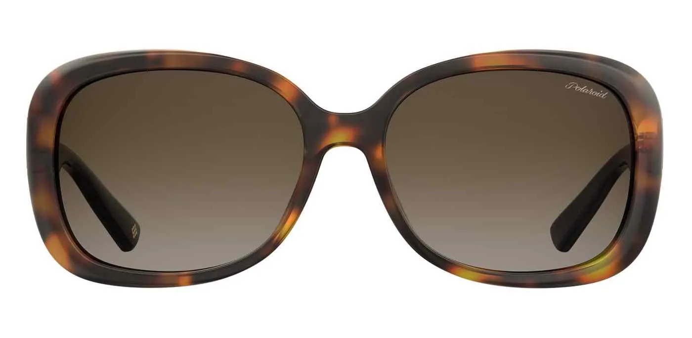 Polaroid Core Pld4069 Sunglasses