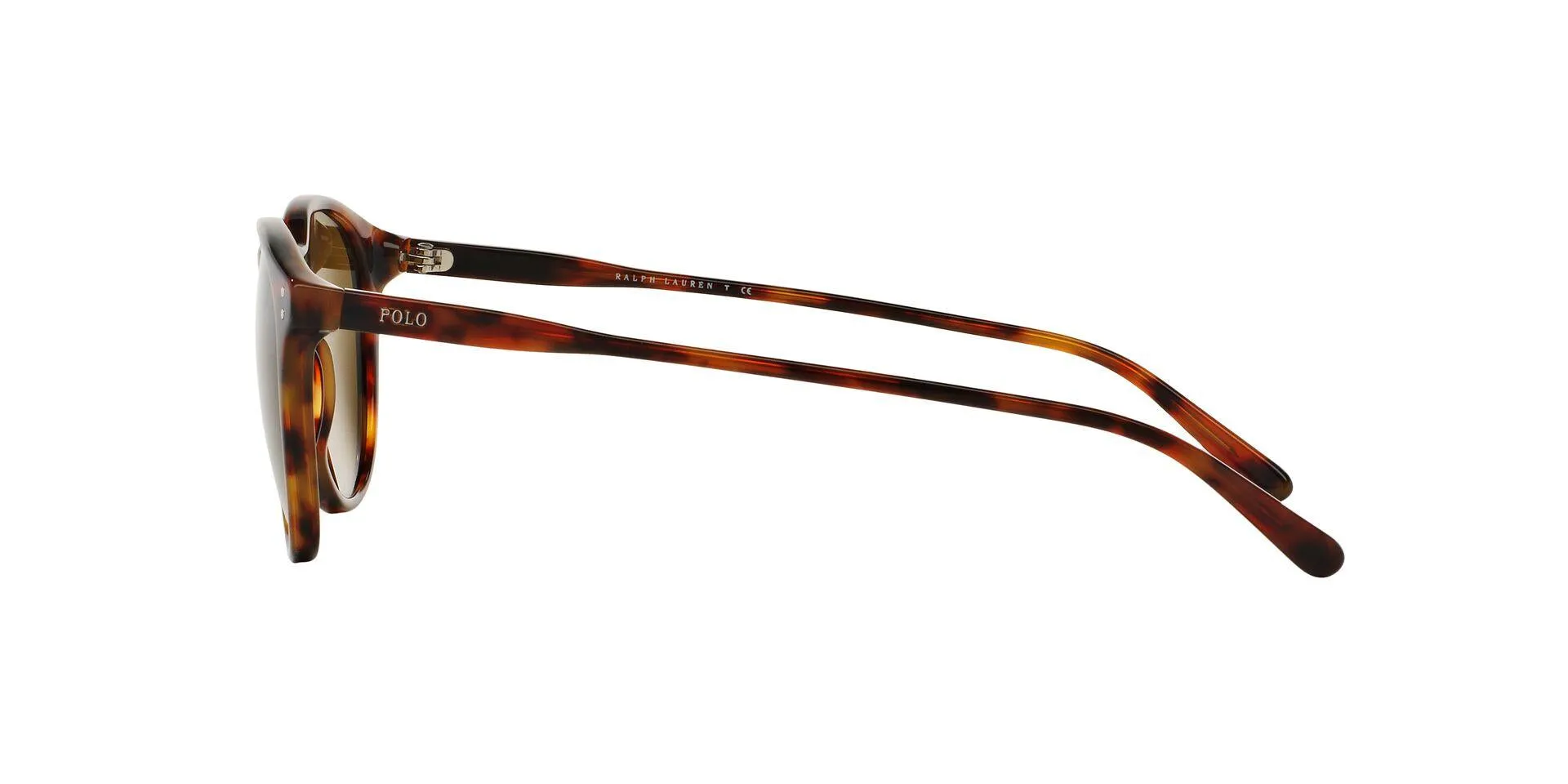 Polo 4110 Sunglasses