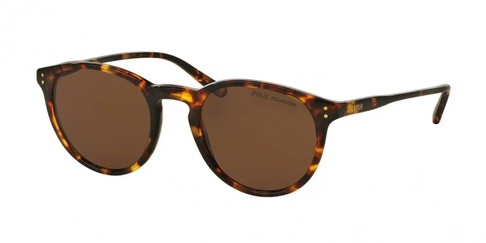 Polo 4110 Sunglasses