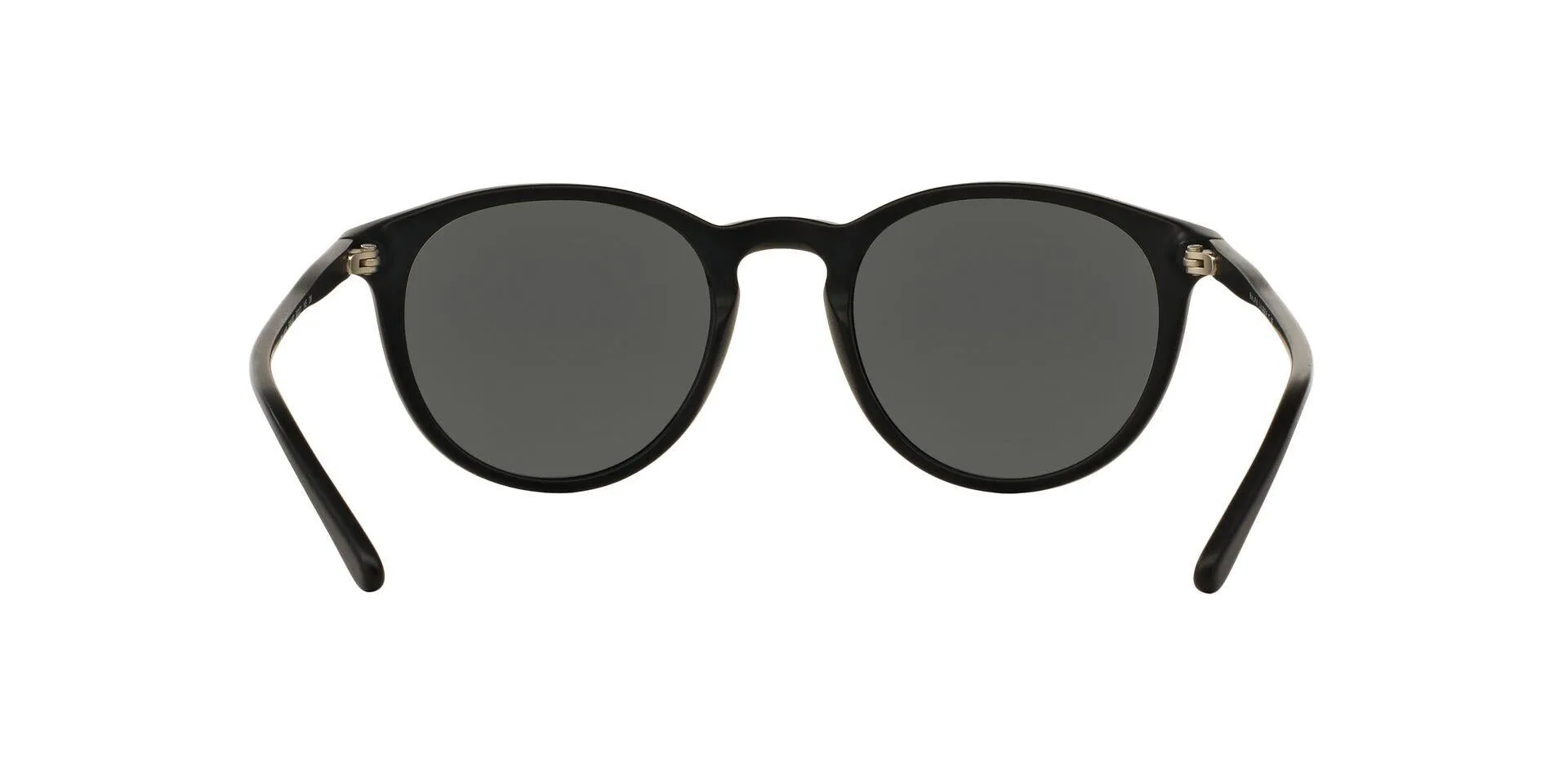 Polo 4110 Sunglasses