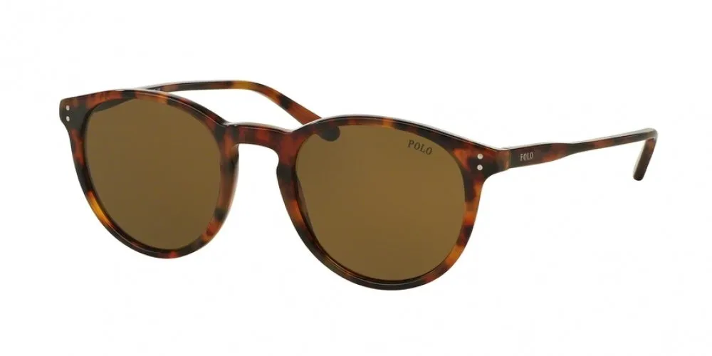 Polo 4110 Sunglasses