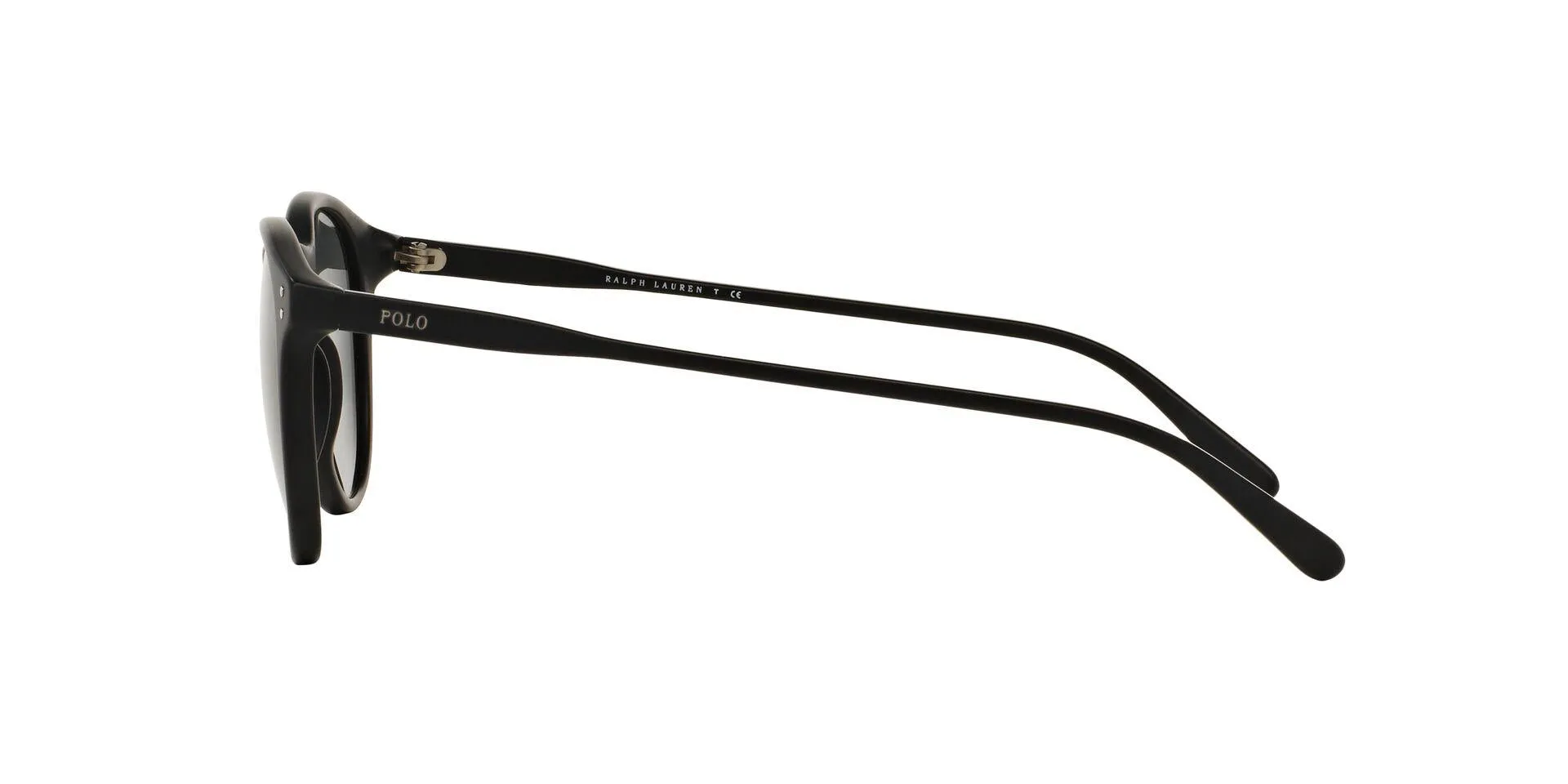 Polo 4110 Sunglasses