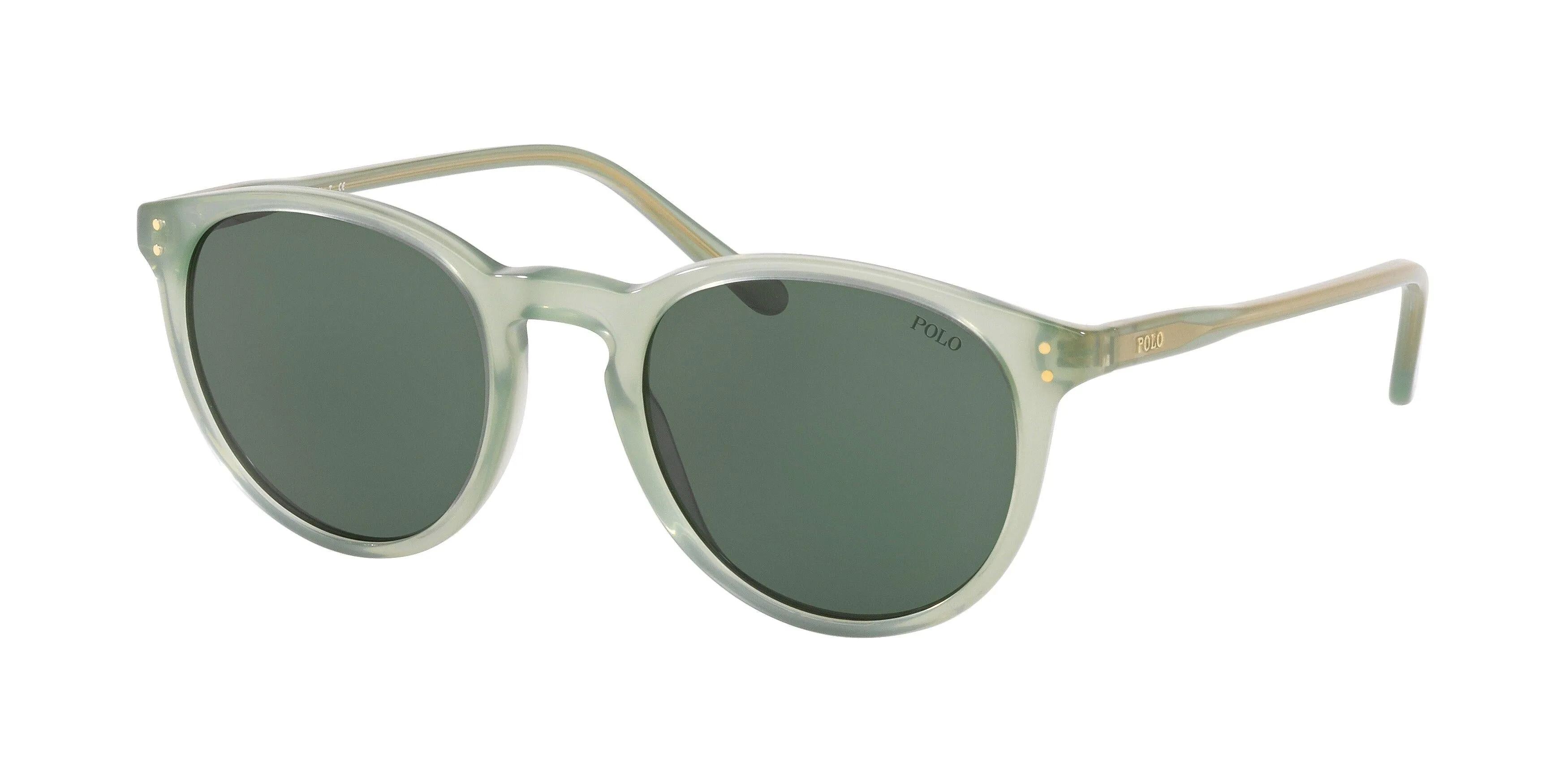 Polo 4110 Sunglasses
