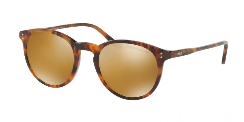 Polo 4110 Sunglasses
