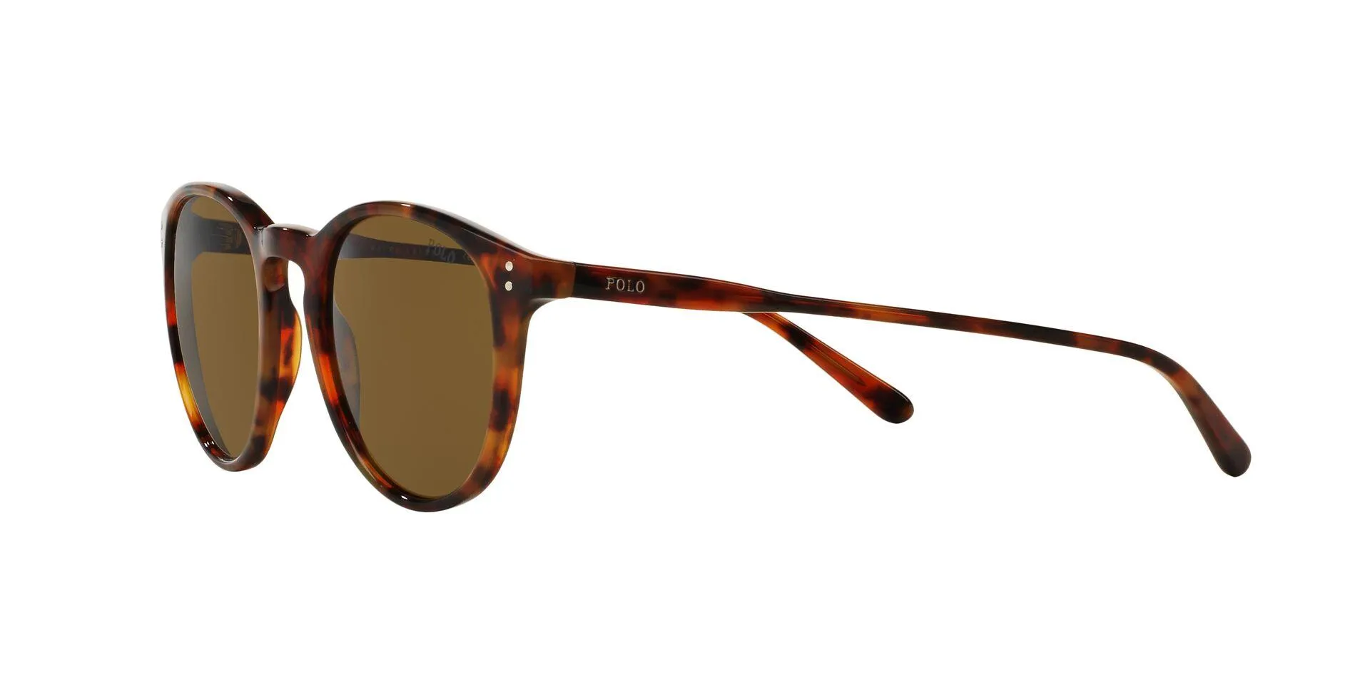 Polo 4110 Sunglasses