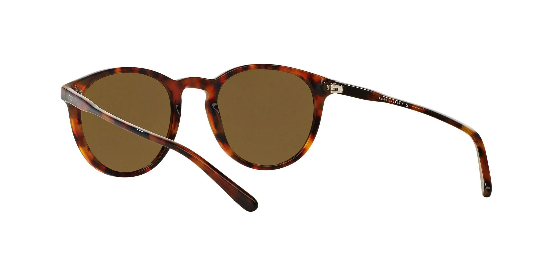 Polo 4110 Sunglasses