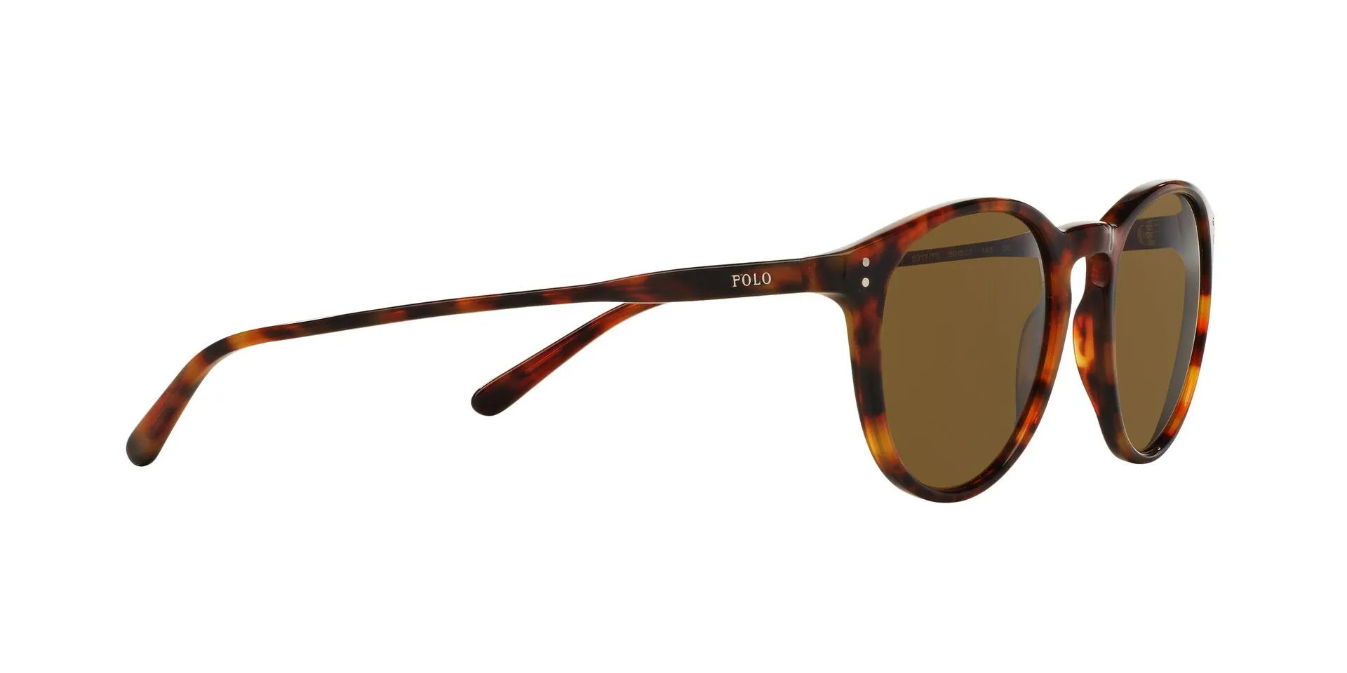 Polo 4110 Sunglasses