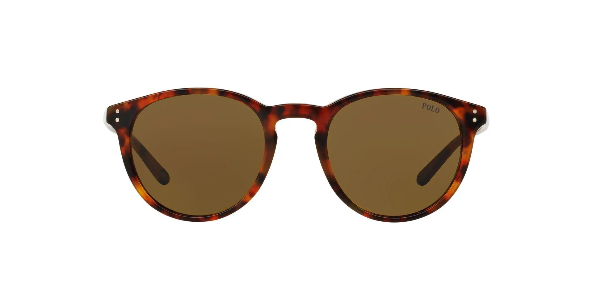 Polo 4110 Sunglasses
