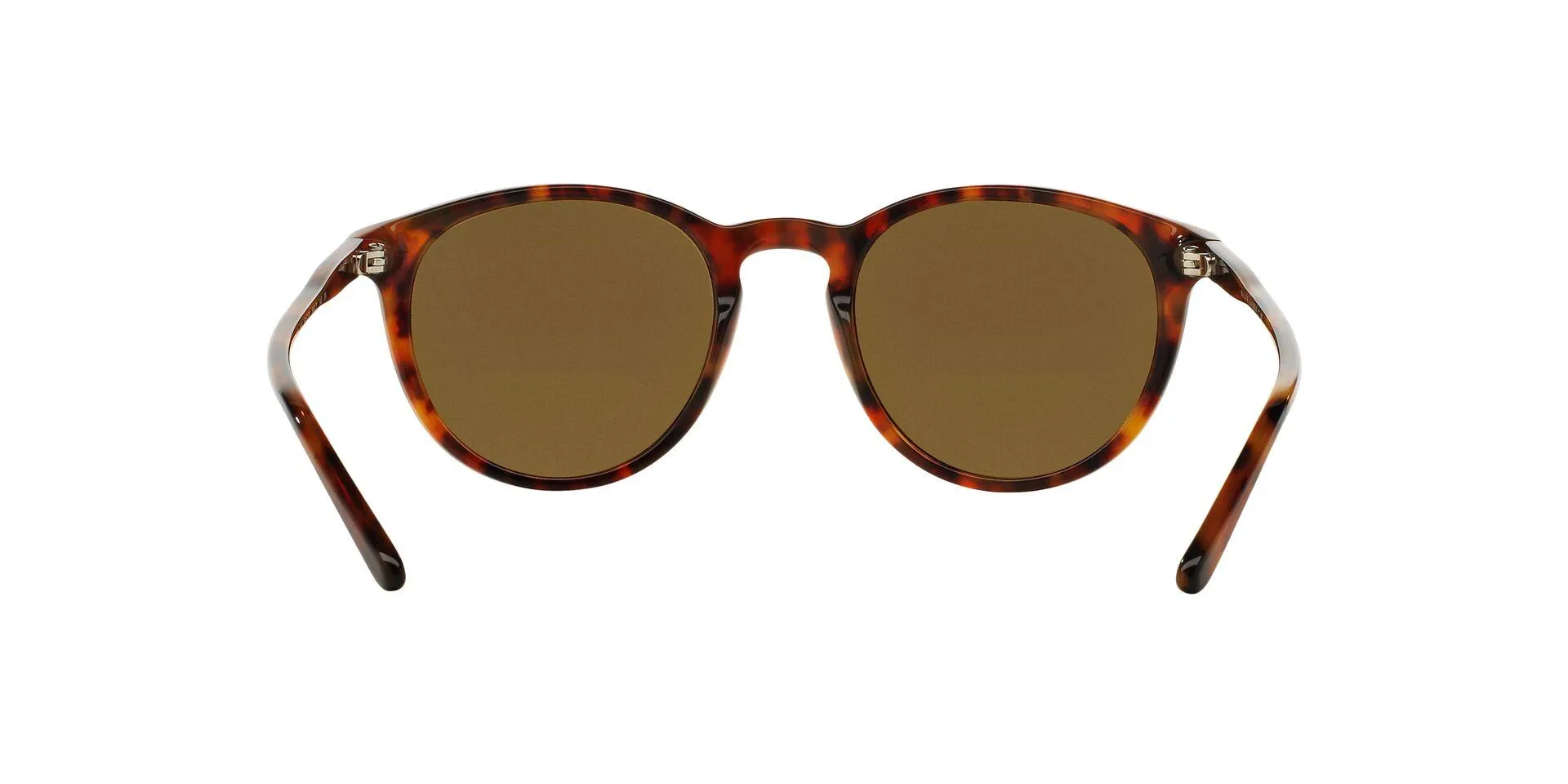 Polo 4110 Sunglasses