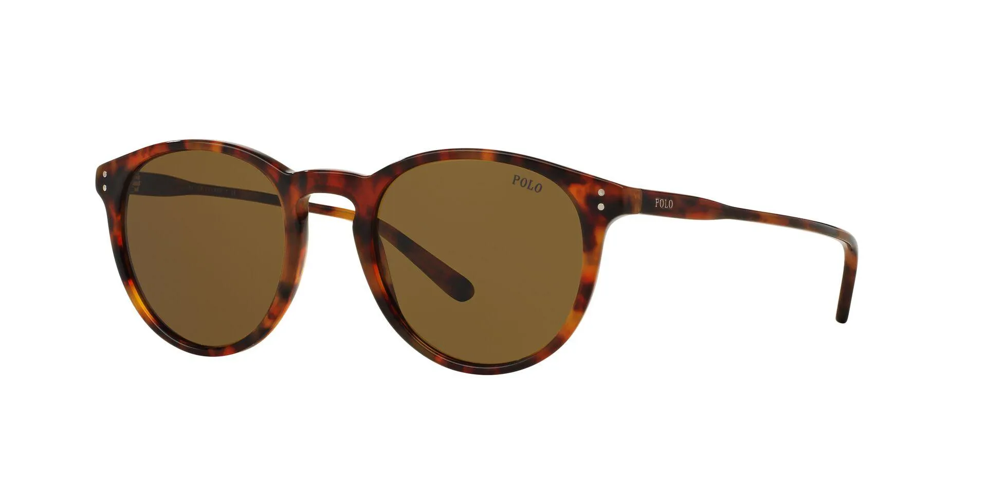 Polo 4110 Sunglasses