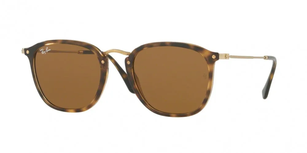 Ray-Ban 2448N Sunglasses