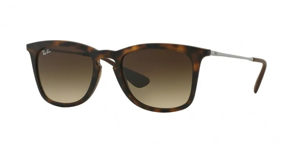 Ray-Ban 4221 Sunglasses