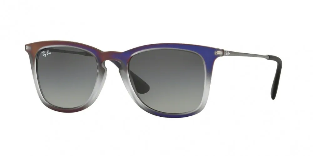 Ray-Ban 4221 Sunglasses