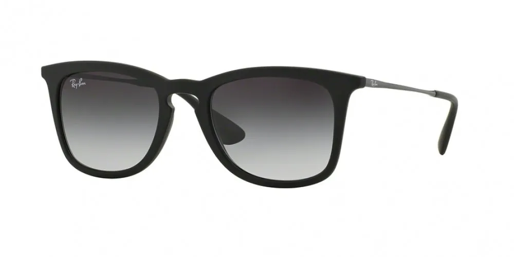 Ray-Ban 4221 Sunglasses
